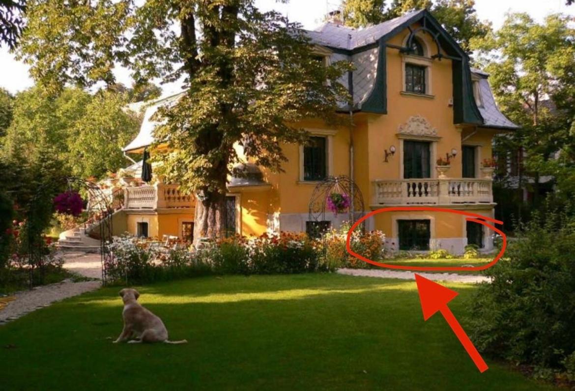 Buda Hills Apartment